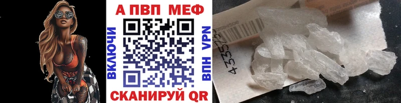 где найти   Сунжа  А ПВП VHQ 