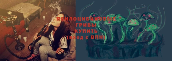 СК Алзамай