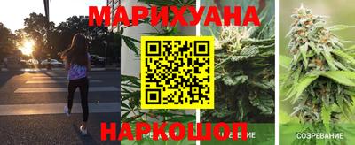 Альфа ПВП Кандалакша