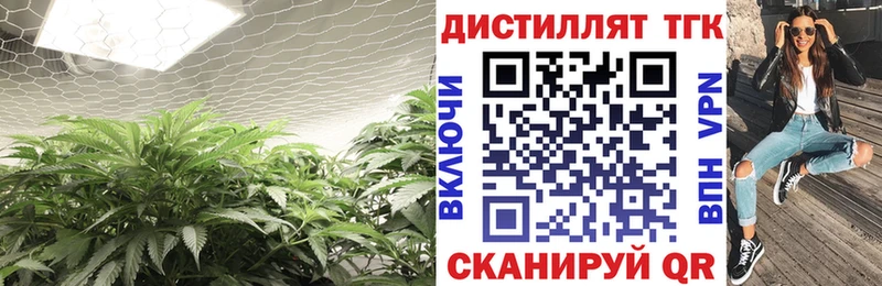 ТГК гашишное масло  blacksprut как зайти  Сунжа 