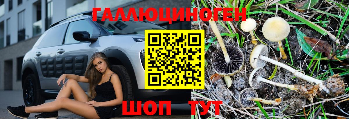 Галлюциногенные грибы MAGIC MUSHROOMS  Галлюциногенные грибы MAGIC MUSHROOMS  Сунжа  Вход с VPN 