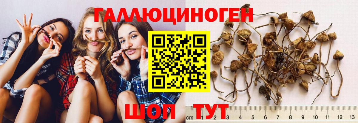 Галлюциногенные грибы мицелий Сунжа