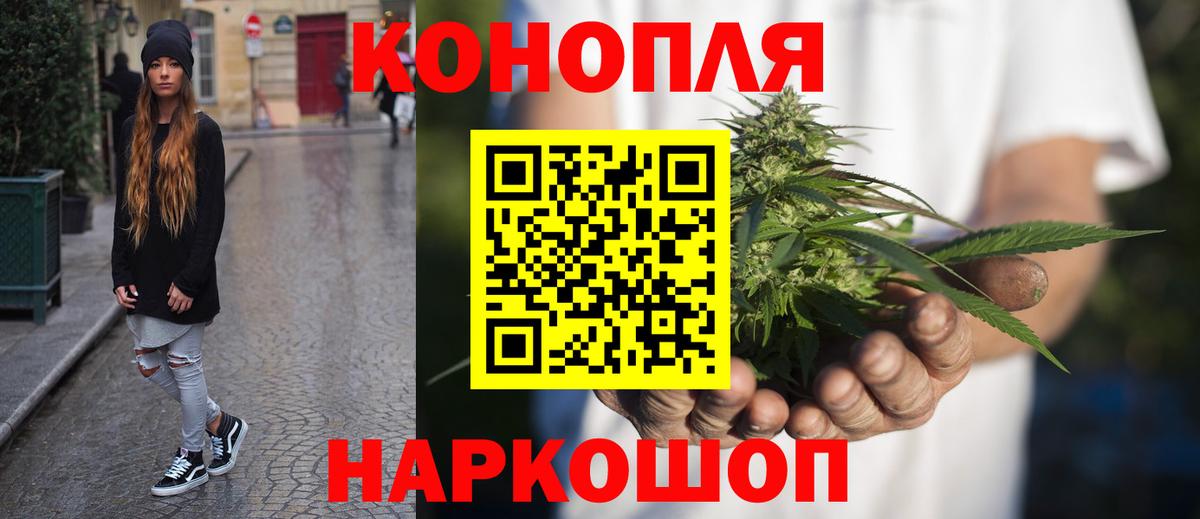 Марихуана сатива  Вход с VPN  Бошки марихуана тримм  Сунжа 